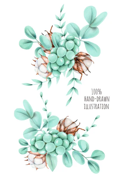 Ensemble Fleurs Coton Branches Eucalyptus Autres Bouquets Plantes Illustration Dessiné — Photo