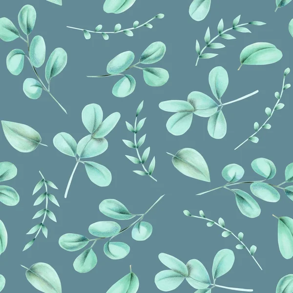 Seamless Floral Pattern Eucalyptus Branches Hand Drawn Isolated Blue Background — Free Stock Photo