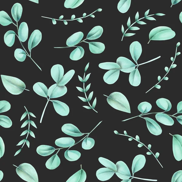 Patrón Floral Sin Costuras Con Ramas Eucalipto Dibujado Mano Aislado —  Fotos de Stock