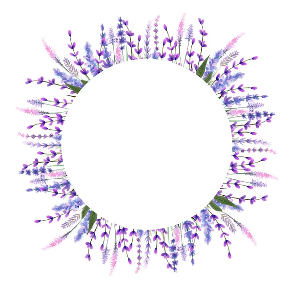 바탕에 그려진 수채화 허브와 라벤더 프레임 테두리 라운드 — 스톡 사진