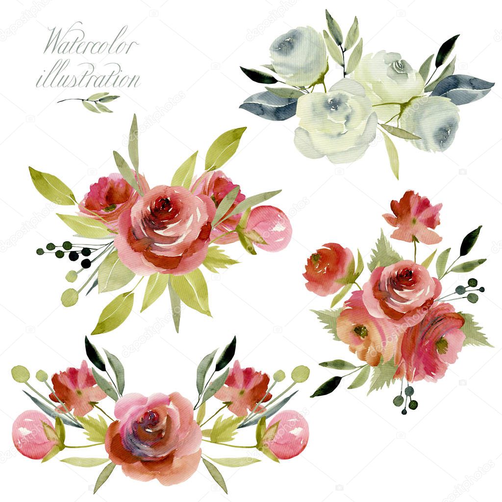 Watercolor burgundy and white roses bouquets collection, isolated posies set, hand painted on a white background
