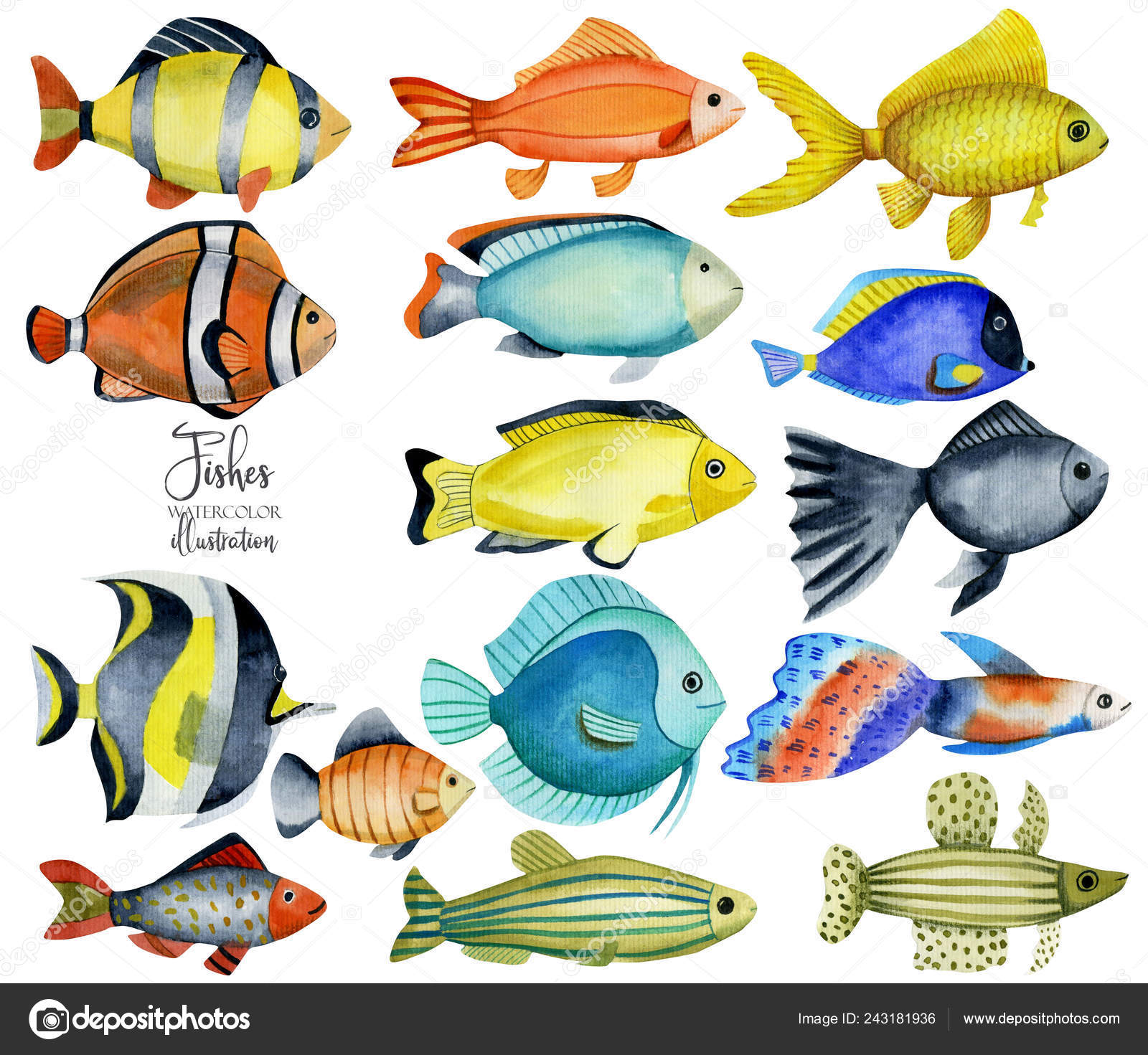 list of fish