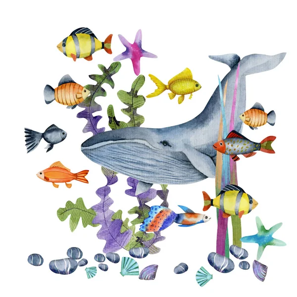 Akvarelu Velryba Oceánské Tropických Exotických Ryb Mezi Chaluhy Ilustrace Ručně — Stock fotografie