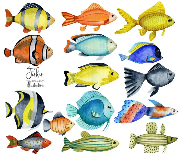 Колекція Акварельних Океанічних Риб Намальована Вручну Ізольована Білому Тлі — стокове фото
