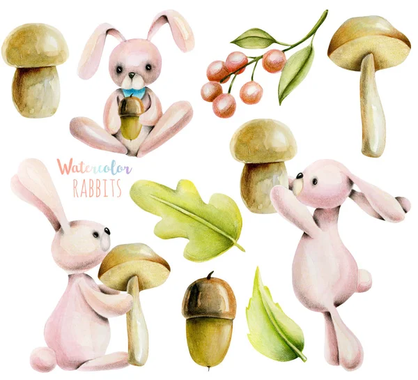 Collezione Serie Acquerelli Simpatici Conigli Piante Autunnali Illustrazioni Disegnato Mano — Foto Stock