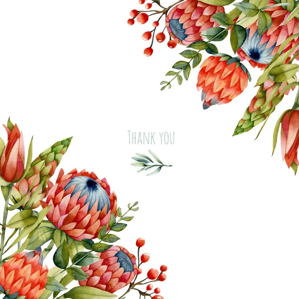 Πρότυπο Κάρτας Ακουαρέλα Κόκκινο Πρωτέα Λουλούδια Και Πράσινα Κλαδιά Χέρι — Δωρεάν Φωτογραφία