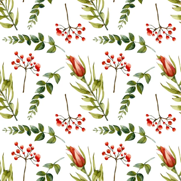 水彩の繁栄のプロテア 緑の枝と赤い果実のシームレスなパターン 手が白い背景に描かれ  — 無料ストックフォト