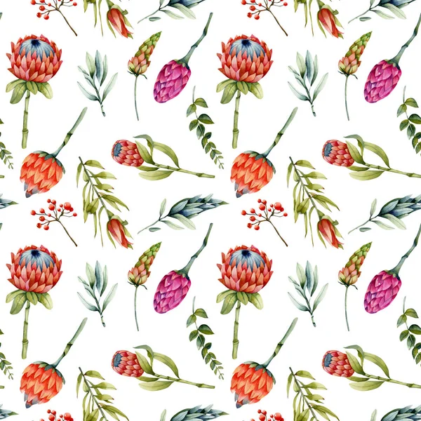 Watercolor Protea Flowers Green Branches Red Berries Seamless Pattern Hand — Free Stock Photo