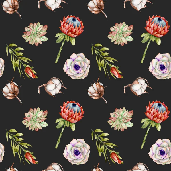 Цветы Акварели Protea Хлопок Суккуленты Бесшовный Узор Ручная Роспись Темном — стоковое фото