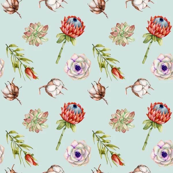 Watercolor Protea Flowers Cotton Succulents Seamless Pattern Hand Painted Blue — Stock Photo, Image