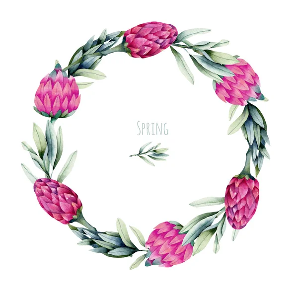 Wreath Watercolor Pink Protea Flower Green Branches Hand Painted White — Stock Photo, Image