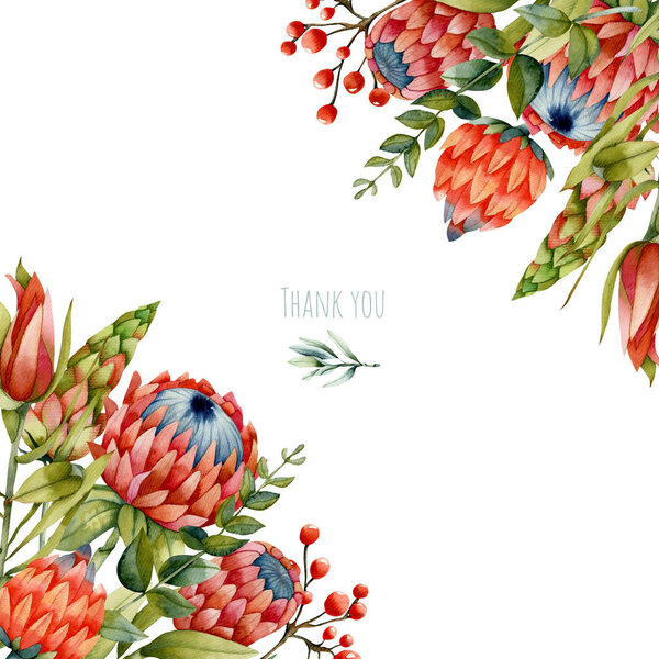 Card template with watercolor red protea flowers and green branches, hand painted on a white background, thank you card design — Stock Image Card Template Watercolor Red Protea Flowers Green Branches Hand Painted Stock Picture