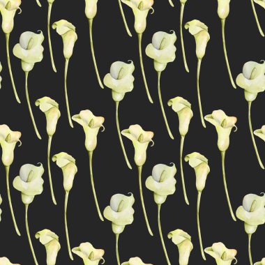Watercolor white callas flowers seamless pattern, hand painted on a dark background clipart