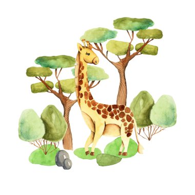 Doğa Illustration sevimli suluboya zürafa, el Beyaz bir arka planda izole çizilmiş