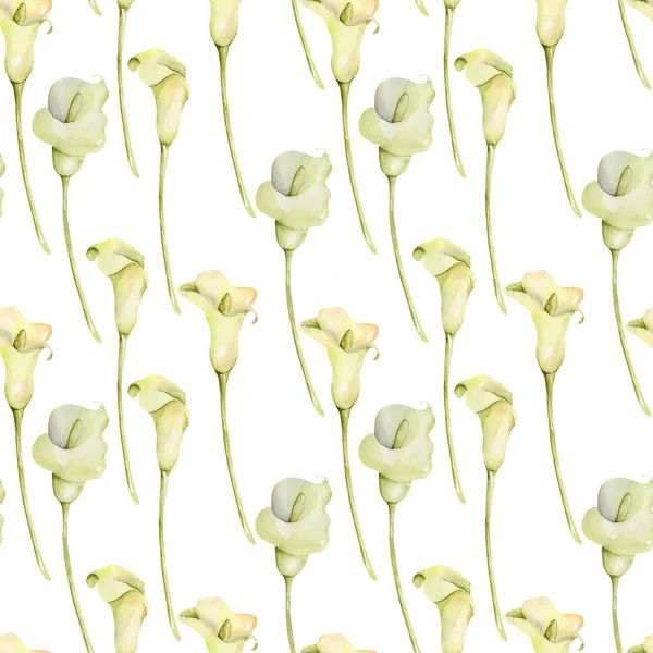 Watercolor White Callas Flowers Seamless Pattern Hand Painted White Background — Stock Photo, Image
