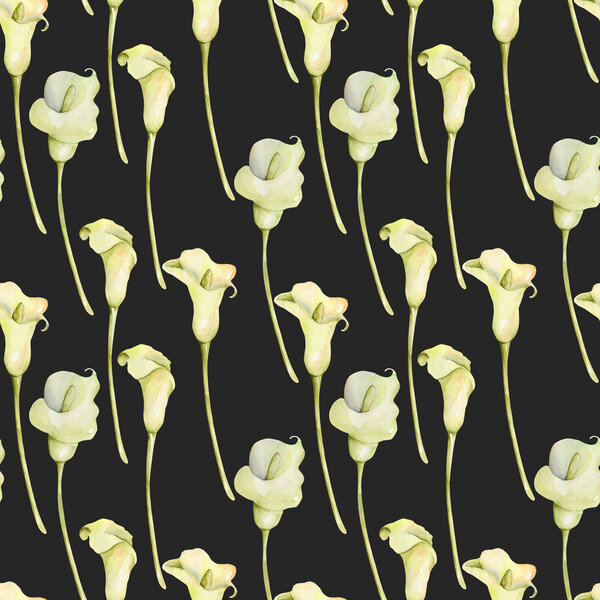 Watercolor white callas flowers seamless pattern, hand painted on a dark background