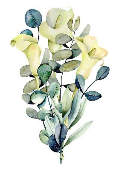 水彩白色愈伤组织花和桉树分枝的花束 手绘在白色背景上被隔绝 — 图库照片