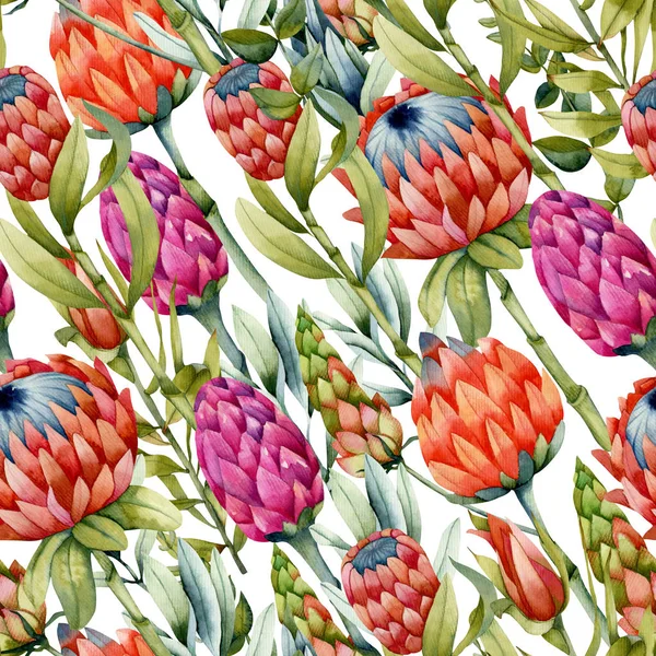 Watercolor Protea Blommor Sömlösa Mönster Handmålad Vit Bakgrund — Stockfoto