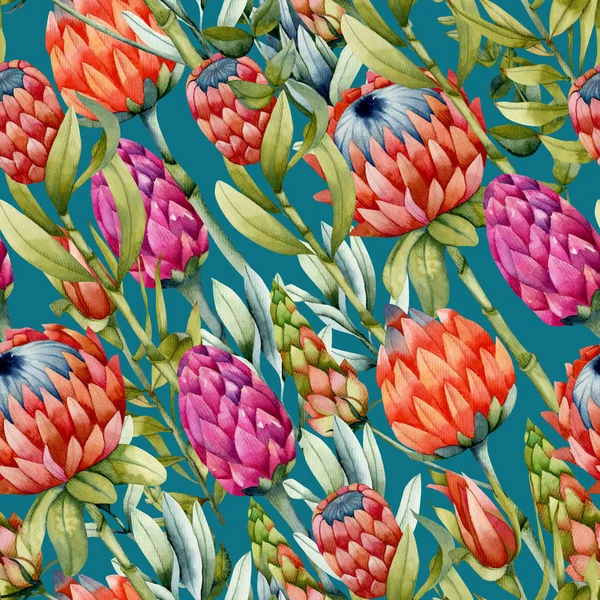 Acuarela Protea Flores Patrón Sin Costuras Pintado Mano Sobre Fondo —  Fotos de Stock