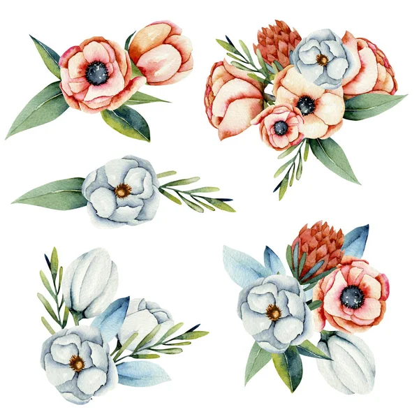 Kokoelma Eristetty Akvarelli Kukkakimppuja Valkoinen Koralli Anemoni Protea Kukkia Käsin — kuvapankkivalokuva