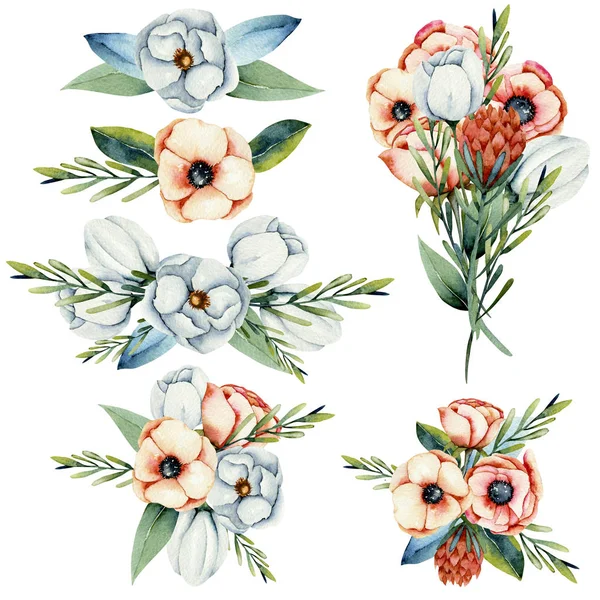 Verzameling Van Geïsoleerde Aquarel Boeketten Van Wit Koraal Anemone Protea — Stockfoto