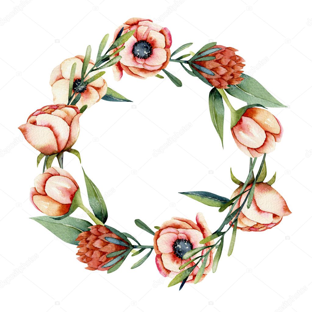 Wreath of watercolor coral anemone and protea flowers, hand painted illustration on a white background