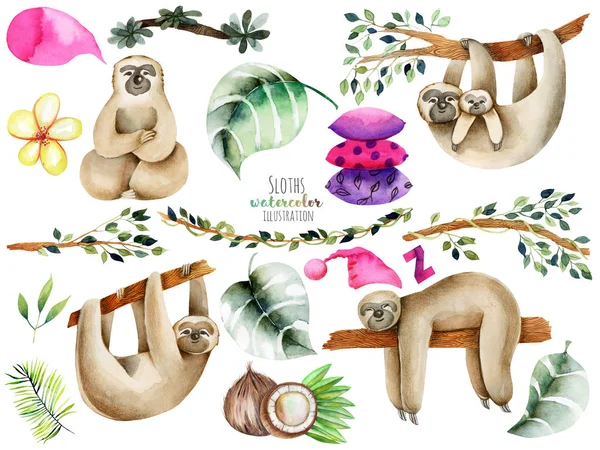 Watercolor Cute Sloths Elements Illustration Hand Drawn White Background — Stock Photo, Image