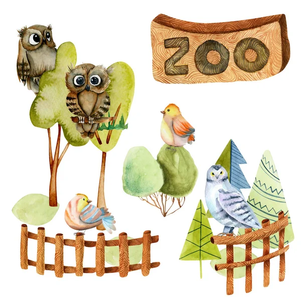 Ilustração Aquarela Pássaros Corujas Zoológico Mão Cena Isolada Desenhada Sobre — Fotografia de Stock