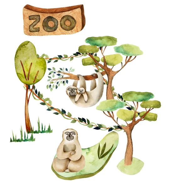 Illustrazione Acquerello Dei Bradipi Allo Zoo Scena Isolata Disegnata Mano — Foto Stock