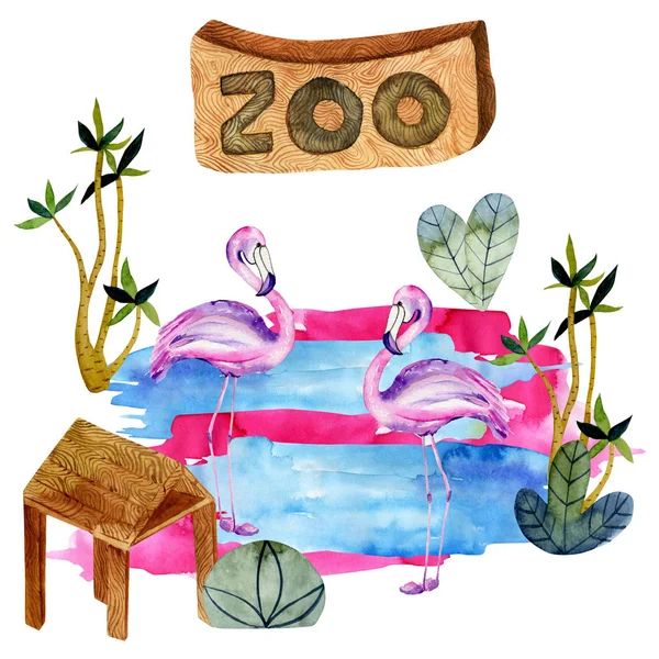 Watercolor illustration of flamingo at the zoo, isolated scene hand drawn on a white background