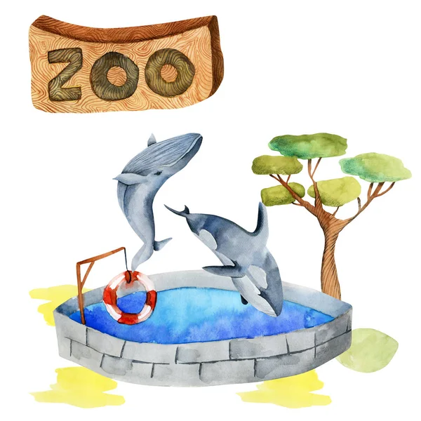 Watercolor illustration of whales at the zoo, isolated scene hand drawn on a white background