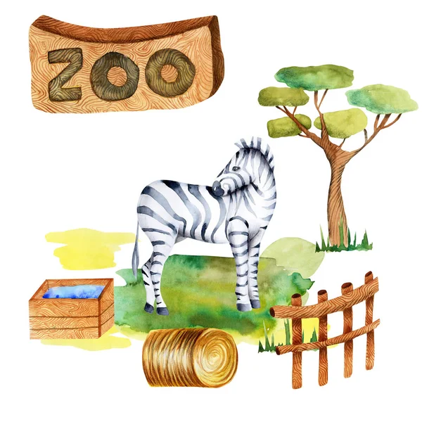 Illustration Aquarelle Zèbre Zoo Scène Isolée Dessinée Main Sur Fond — Photo