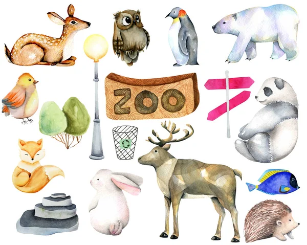 Coleção Animais Aquarela Elementos Atributos Zoológico Pintados Mão Sobre Fundo — Fotografia de Stock