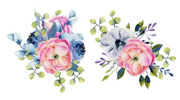 말미잘 장미와 유칼립투스의 수채화 꽃다발의 컬렉션 배경에 손으로 — 스톡 사진