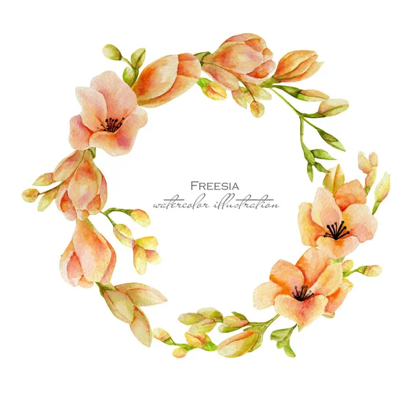 Watercolor Pink Freesia Flowers Wreath Hand Drawn Isolated White Background — Stock Photo, Image