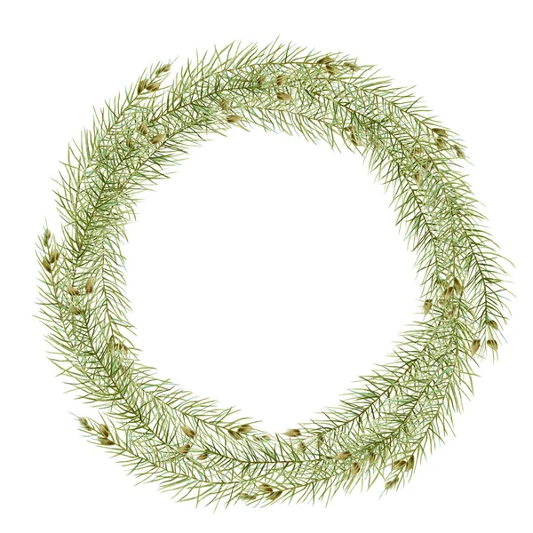 Wreath of watercolor branches of spruce, hand drawn on a white background