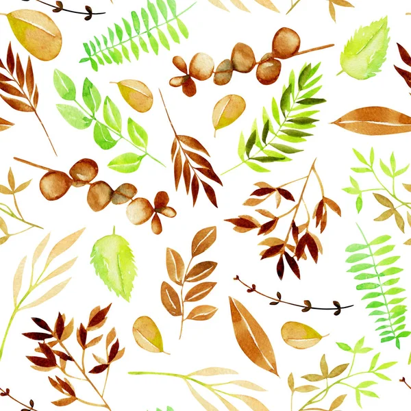 Aquarell Grüne Und Braune Zweige Und Blattmuster Handgemalt Auf Weißem — Stockfoto