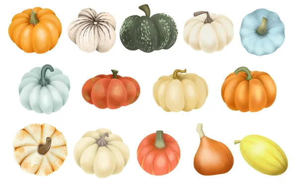 Conjunto Calabazas Dibujadas Mano Ilustración Aislada Sobre Fondo Blanco — Foto de Stock