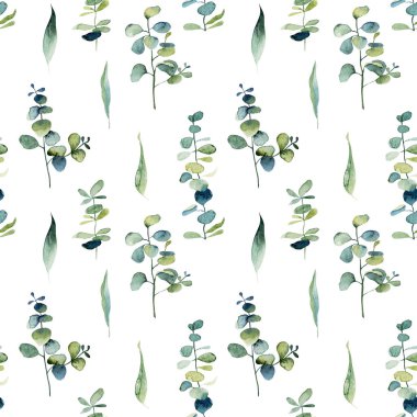 Suluboya okaliptüs dalları ve yeşil yapraklarla kusursuz desen, beyaz arka planda el çizimi çizimi