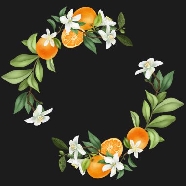 El çelengi çiçek açan mandallar, mandalina çiçekleri ve mandalinalar, koyu bir arkaplanda izole edilmiş resimler.