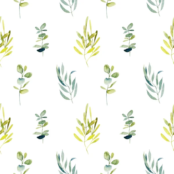 Бесшовный Рисунок Акварелью Эвкалиптовых Ветвей Зеленых Растений Ручной Рисунок Белом — стоковое фото