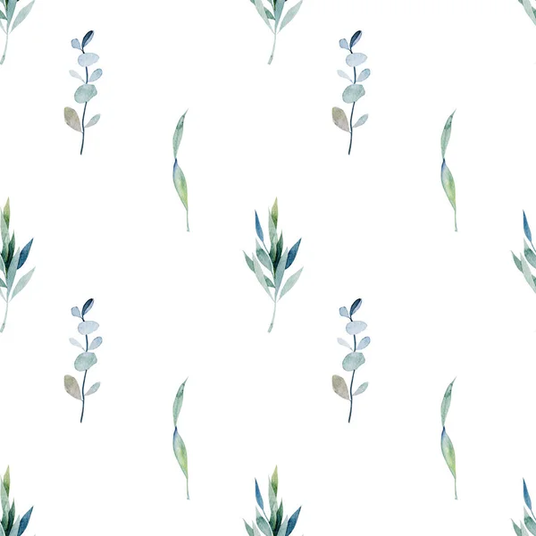 Płynny Wzór Akwarelowymi Gałęziami Eukaliptusa Roślinami Ręcznie Rysowana Ilustracja Białym — Zdjęcie stockowe
