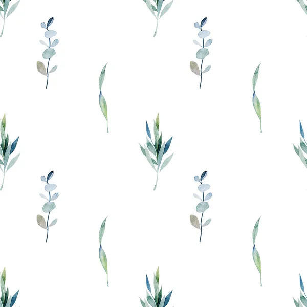 Seamless pattern with watercolor eucalyptus branches and plants, hand drawn illustration on white background