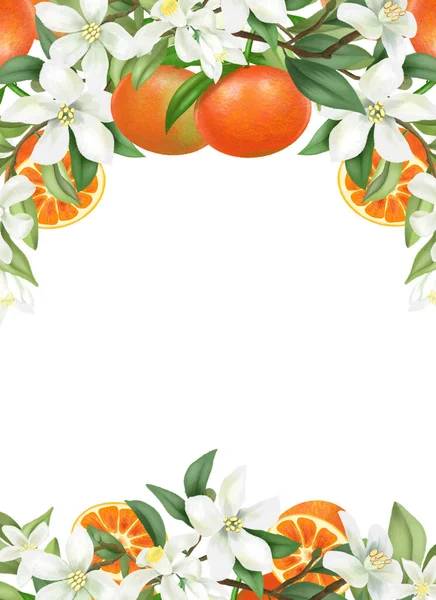 Plantilla Tarjeta Marco Ramas Mandarina Florecientes Dibujadas Mano Flores Mandarinas — Foto de Stock