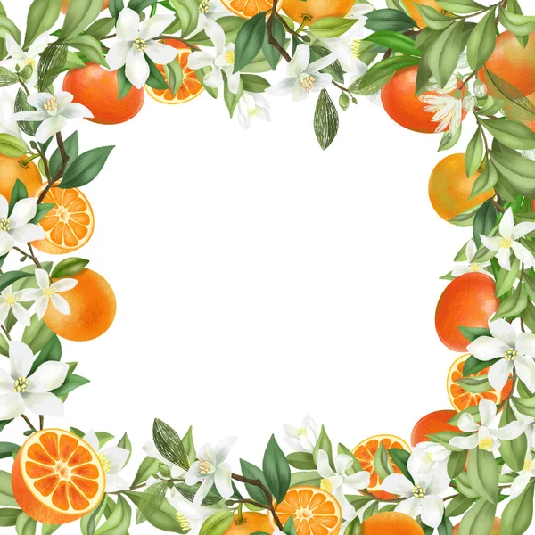 Kart şablonu, el çerçevesi beyaz arkaplanda çiçek açan mandallar, çiçekler ve mandallar çizildi