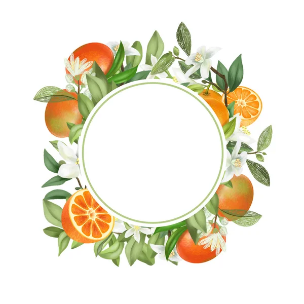 Frame Hand Drawn Blooming Mandarin Tree Branches Mandarin Flowers Mandarins — Stock Photo, Image