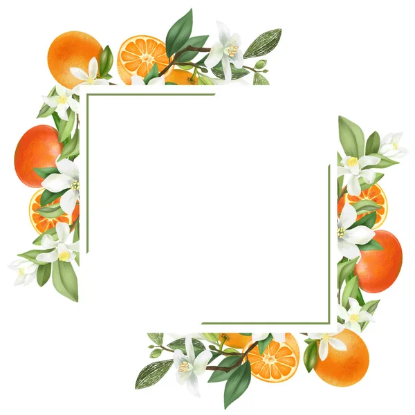 Frame Hand Drawn Blooming Mandarin Tree Branches Mandarin Flowers Mandarins — Stock Photo, Image