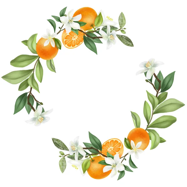 Wreath Hand Drawn Blooming Mandarin Tree Branches Mandarin Flowers Mandarins — Stock Photo, Image