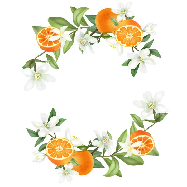 Corona Ramas Mandarina Florecidas Dibujadas Mano Flores Mandarina Mandarinas Ilustración — Foto de Stock