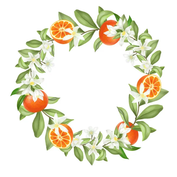 Corona Ramas Mandarina Florecidas Dibujadas Mano Flores Mandarina Mandarinas Ilustración — Foto de Stock